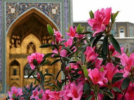 تور مشهد ویژه عید سعید فطر 