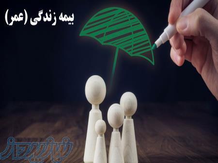 کارگزاری رسمی بیمه نکویی 