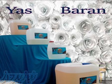 فروش عمده انواع شوینده بهداشتی 