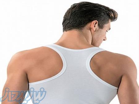 نمایندگی لباس زیر مردانه  برند Erdem