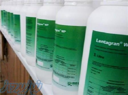 فروش سم علف کش لنتاگران 