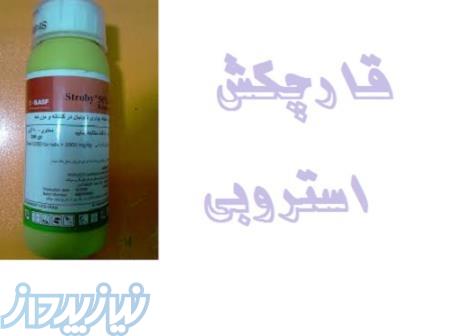 فروش ویژه سم قارچکش استروبی 