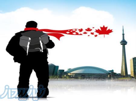 ارائه خدمات مهاجرتی 