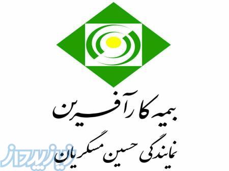 جوان و ثروتمند بازنشسته شوید 