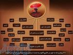 قارچ و قهوه گانودرما 