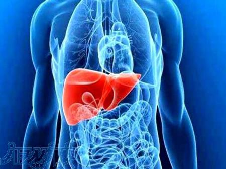 درمان قطعی کبد چرب ، بیماری خاموش! 