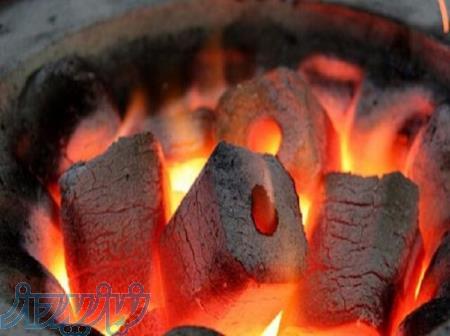 تولیدی زغال چینی رادمهر