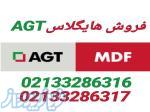 ای جی تی agt 