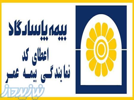 اعطای کد نمایندگی بیمه عمر پاسارگاد 