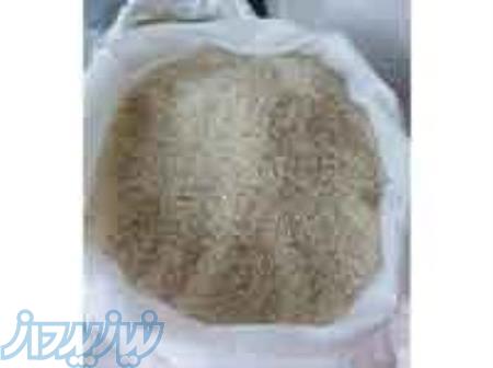 برنج دم سیاه منطقه چشمه ساران (بوجار) 