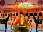 آموزش کونگ فو و دفاع شخصی