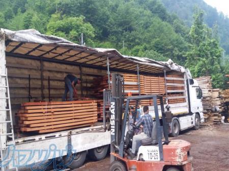 چوب راش گرجستان