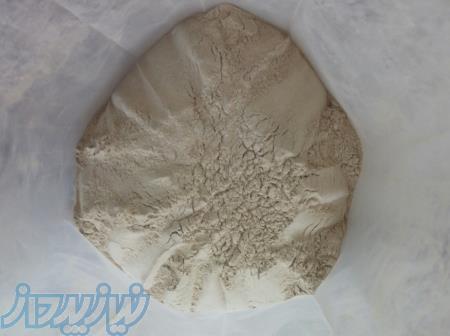 خرید و فروش عمده پودر قارچ دکمه ابی 