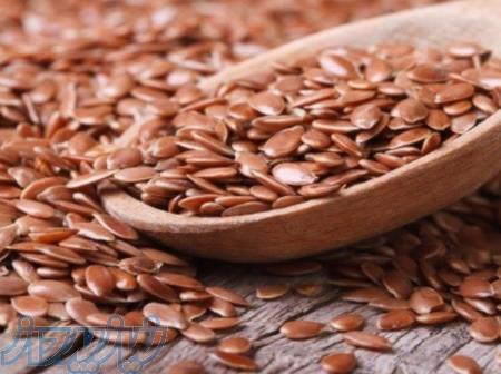 فروش عمده بذر کتان 