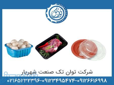 تولید انواع ظروف یکبار مصرف و بسته بندی 