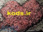 پرورش کرم خاکی و ورمی کمپوست