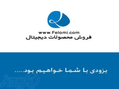 فلومی