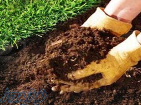 فروش کود ورمی کمپوست - 1 کیلو تا چند تن 