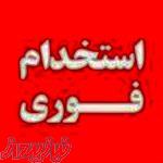 رنگ کار ماهر و زیرکارچی سرویس خواب روکش چوب