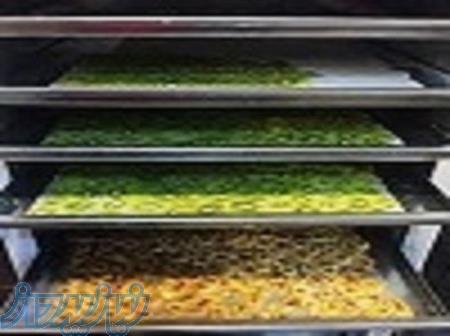 دستگاه خشک کن میوه و سبزیجات 