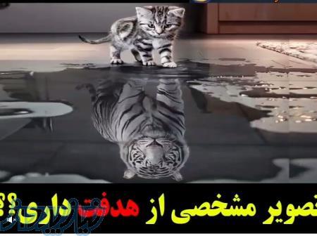 همایش رایگان  بورس 