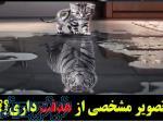 همایش رایگان  بورس 
