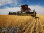 تأمین مستقیم اقلام کشاورزی از کشور قزاقستان 