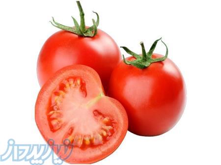 فروش رب خانگی 