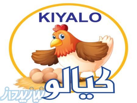 تخم مرغ تاریخ داربسته بندی و کارتنی کیالو    (KIYALO) 