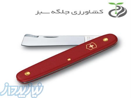 چاقو پیوند زنی