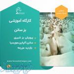 کارگاه آموزشی پرورش بز سانن و آلپاین