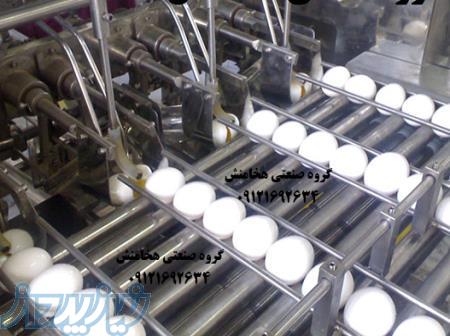 تخم مرغ شکن 