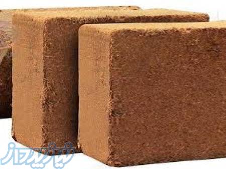 فروش و واردات کوکوپیت 