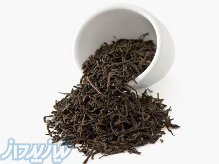 فروش چای وارداتی اصل