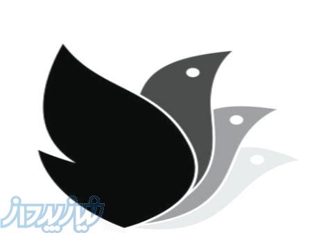 فروش انواع جوجه 