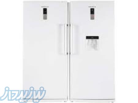 یخچال حرفه ای 