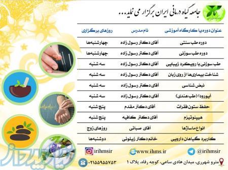 برگزاری کارگاه ها و دوره های آموزشی طب سنتی 