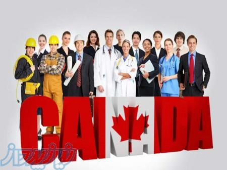 کانادایی شو   مهاجرت  به کانادا