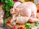 فروش مرغ زنده گرم منجمد قطعه بندی الایشات مرغ پا مرغ 