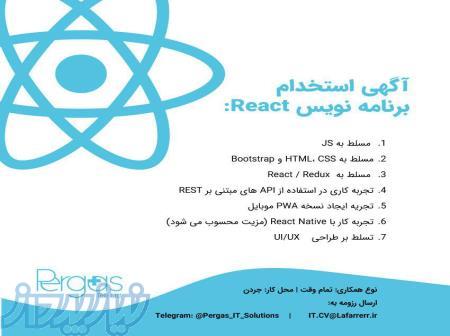 برنامه نویس REACT 