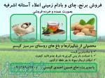 عرضه مستقیم انواع برنج، چای و بادام  گیلان 