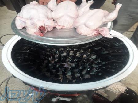 فروش دستگاه پرکن مرغ 