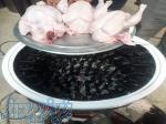 فروش دستگاه پرکن مرغ 