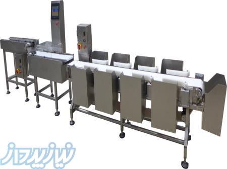 واردات و فروش و نصب و راه اندازی سورتینگ مرغ