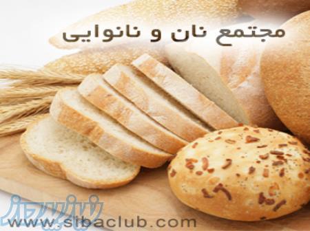 نرم افزار حسابداری مجتمع نان 