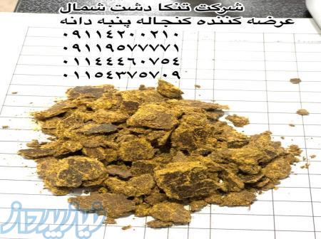 فروش کنجاله پنبه دانه 