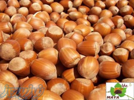 فروش عمده فندق 