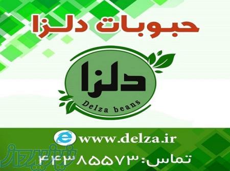 حبوبات بسته بندی شده دلزا 