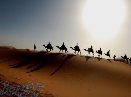 تور 2 5 روزه کویر مصر 