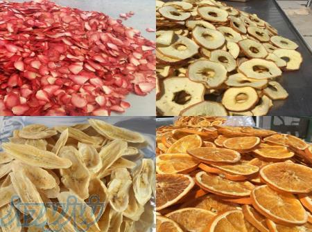 میوه خشک ارگانیک و صادراتی 